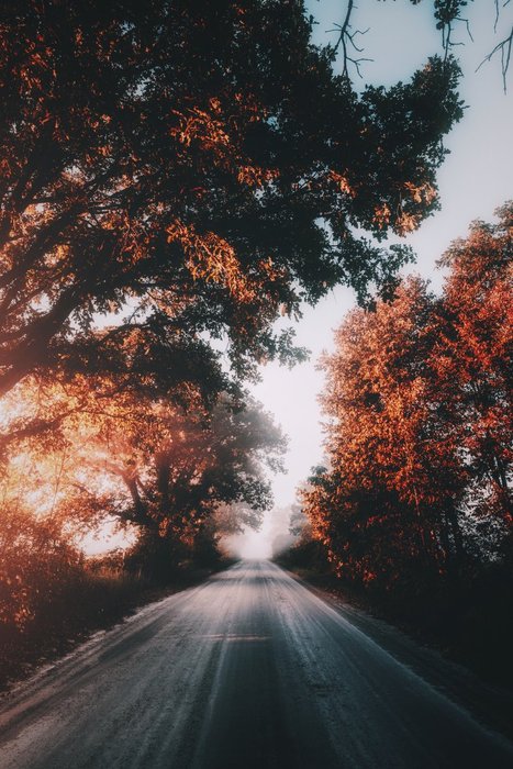 Thumbnail of www-x-com-bryanminear-status-1185708025522376710-7d4451d508534845