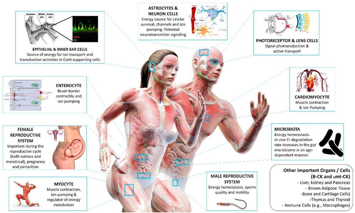 Thumbnail of www-x-com-primarycarepac-status-1853044649687916973-7e21d079578b4027