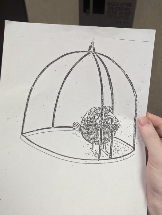 Thumbnail of www-x-com-charizardavis-status-1834305003764490623-7efc4c3002864135