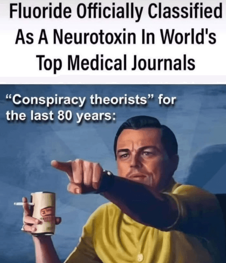 Thumbnail of www-x-com-redpilldrifter-status-1902512279364809109-7fc5f0617d5c4779