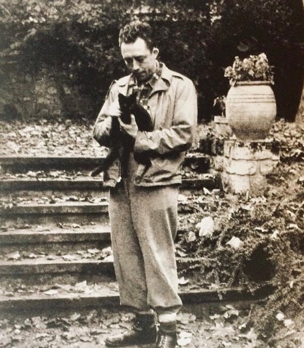 Thumbnail of www-x-com-hering-david-status-1676841170381537281-7fe604643ccd4d68