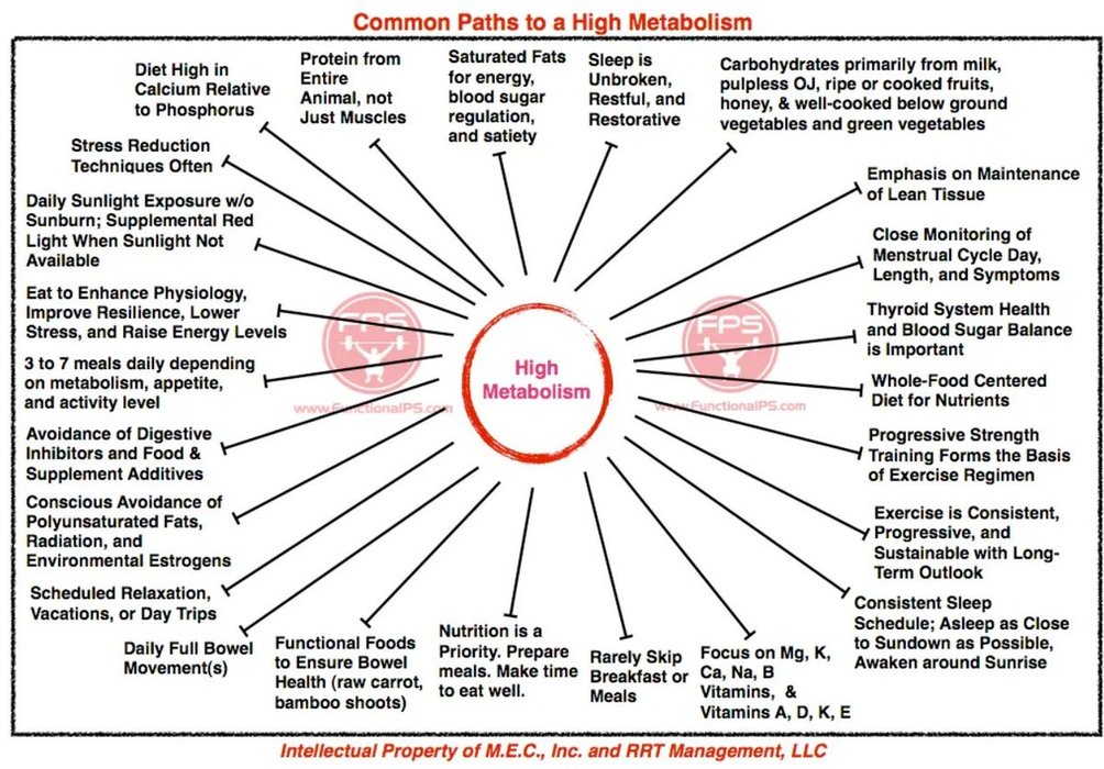 Thumbnail of www-x-com-metabolictonic-status-1858122015468560634-81539f09adde47d2