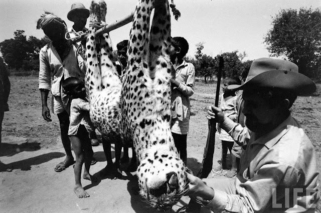 Thumbnail of www-x-com-siddharthkg7-status-1827721363173593106-81a970e5b1d2401e