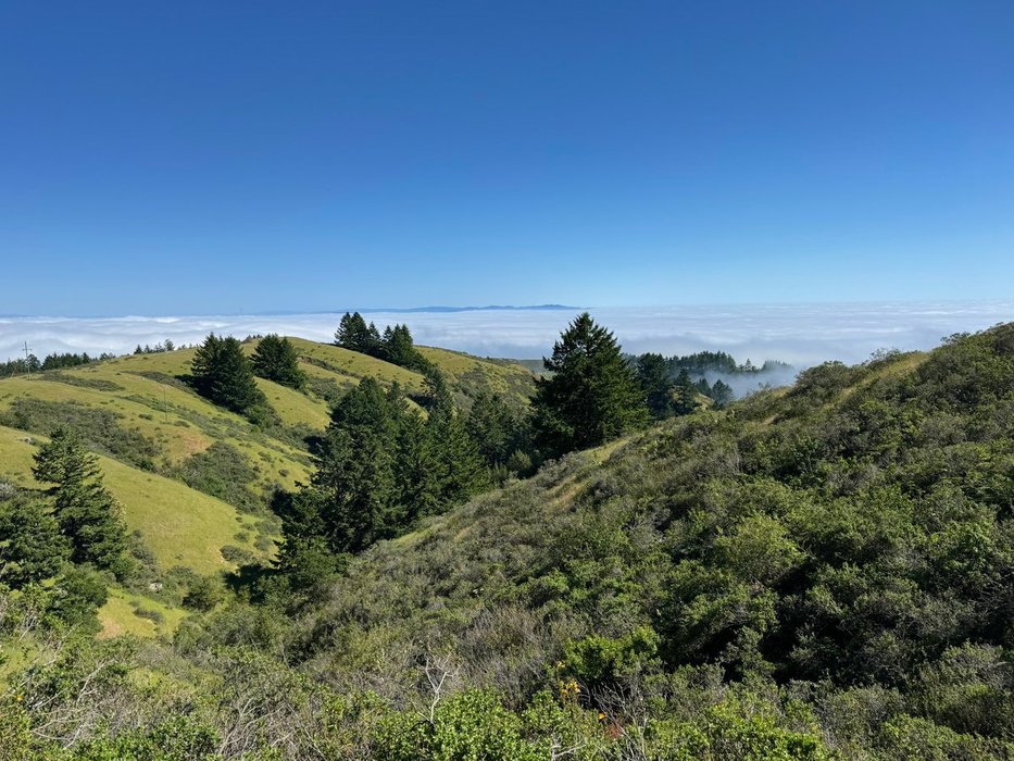 Thumbnail of www-x-com-blakeandersonw-status-1789470479717474721