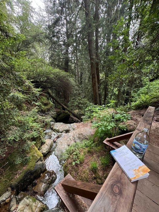 Thumbnail of www-x-com-blakeandersonw-status-1789470479717474721