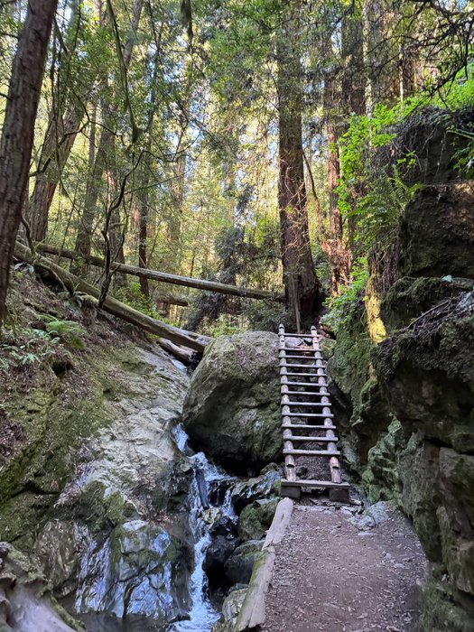 Thumbnail of www-x-com-blakeandersonw-status-1789470479717474721