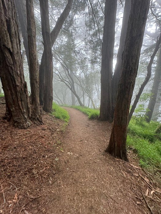 Thumbnail of www-x-com-blakeandersonw-status-1789470479717474721