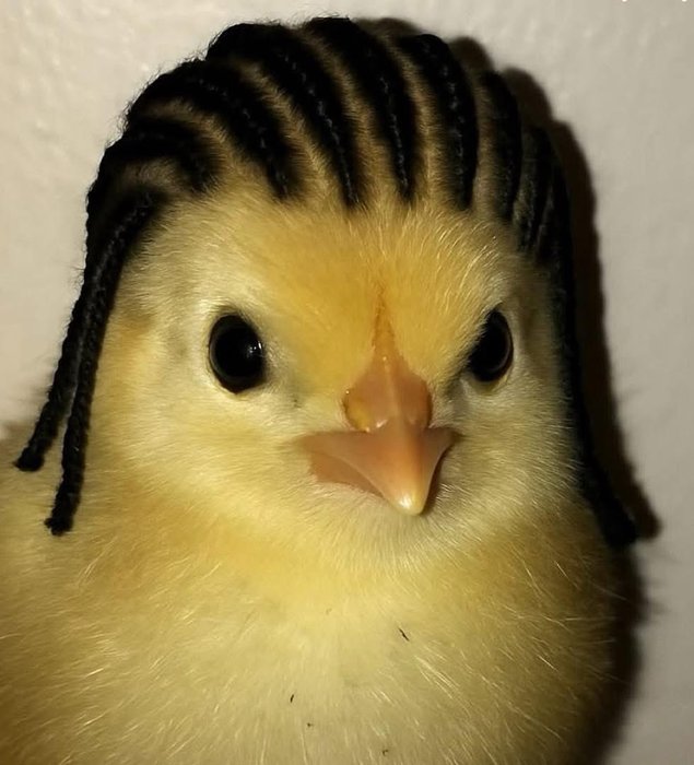 Thumbnail of www-x-com-97vercetti-status-1950723489893171304-83fa28aac0ee4240