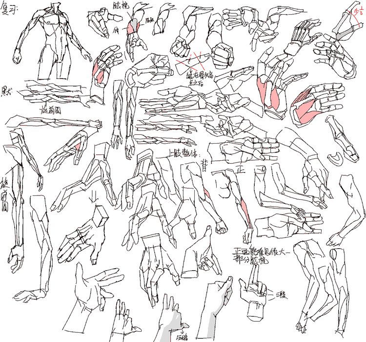 Thumbnail of www-x-com-johiroshi2022-status-1870192949621076021-84e06859220249ee