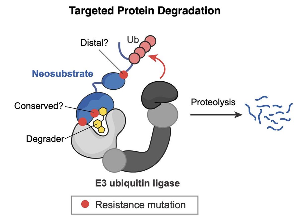 Thumbnail of www-x-com-brian-b-liau-status-1475510629360406532-8555d40702624071
