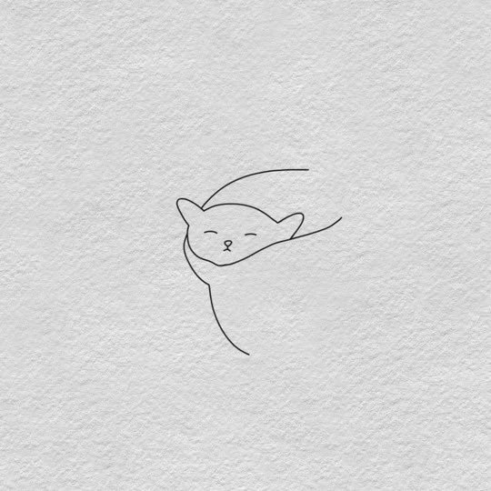 Thumbnail of www-x-com-catportray-status-1938441607964942360-859c68d1c3804a13