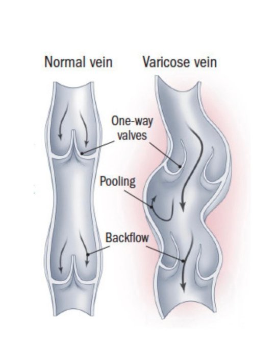 Thumbnail of www-x-com-vitallymelanie-status-1891928209056309453-86956b5b3b4b4b49