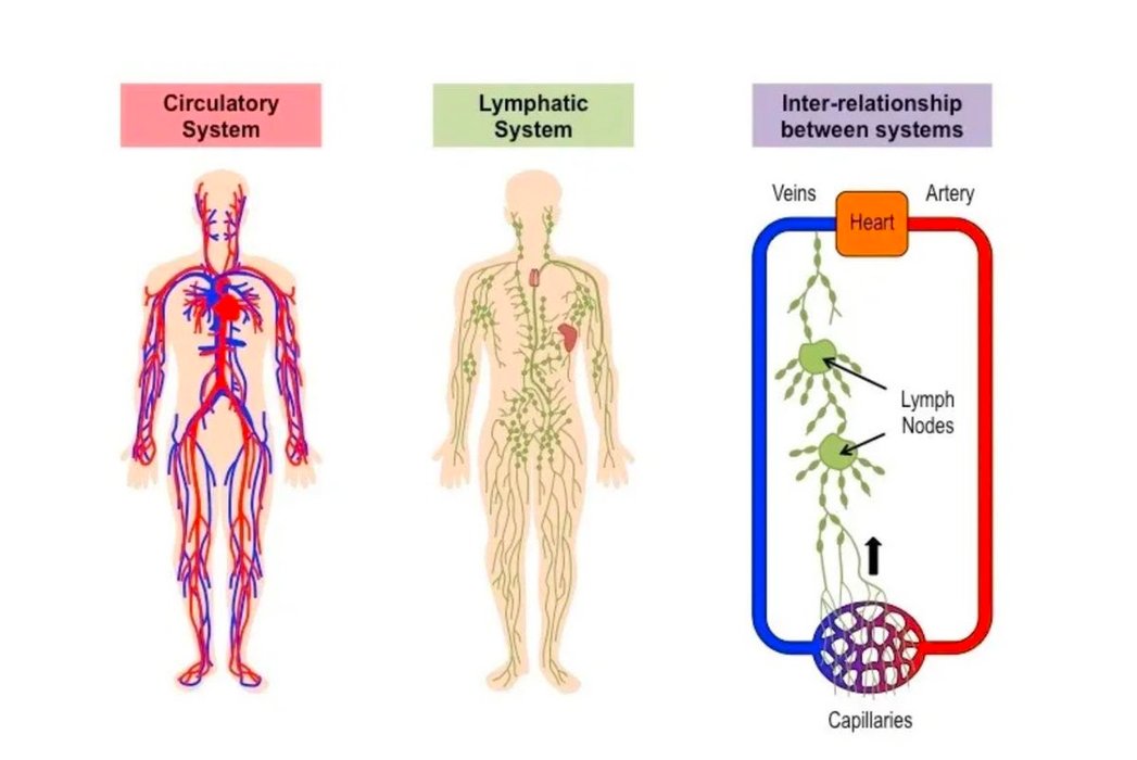 Thumbnail of www-x-com-vitallymelanie-status-1891928209056309453-86956b5b3b4b4b49