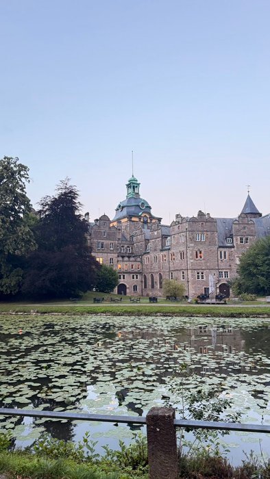 Thumbnail of www-x-com-joaolucas-nm-status-1952130271400407468-872254ec50454150