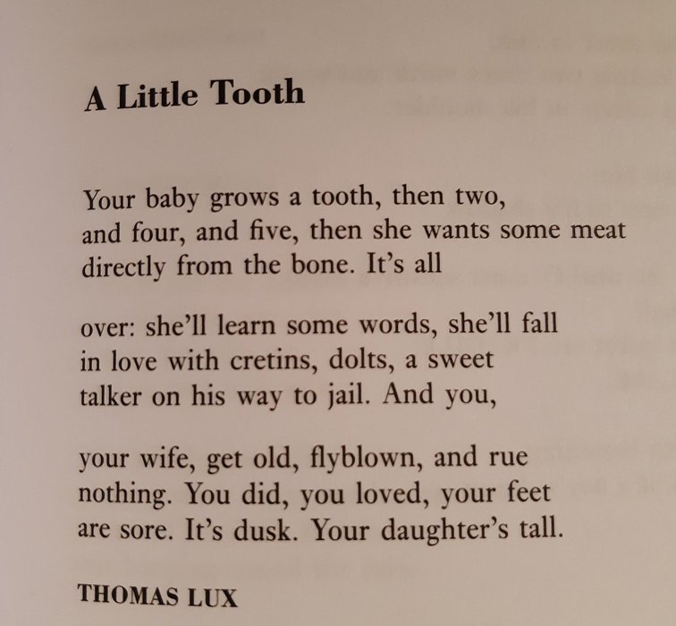 Thumbnail of www-x-com-nmoliverpoetry-status-1671278578669965319