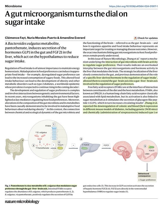 Thumbnail of www-x-com-erictopol-status-1882828827665264805-8ba84b82739e46cc