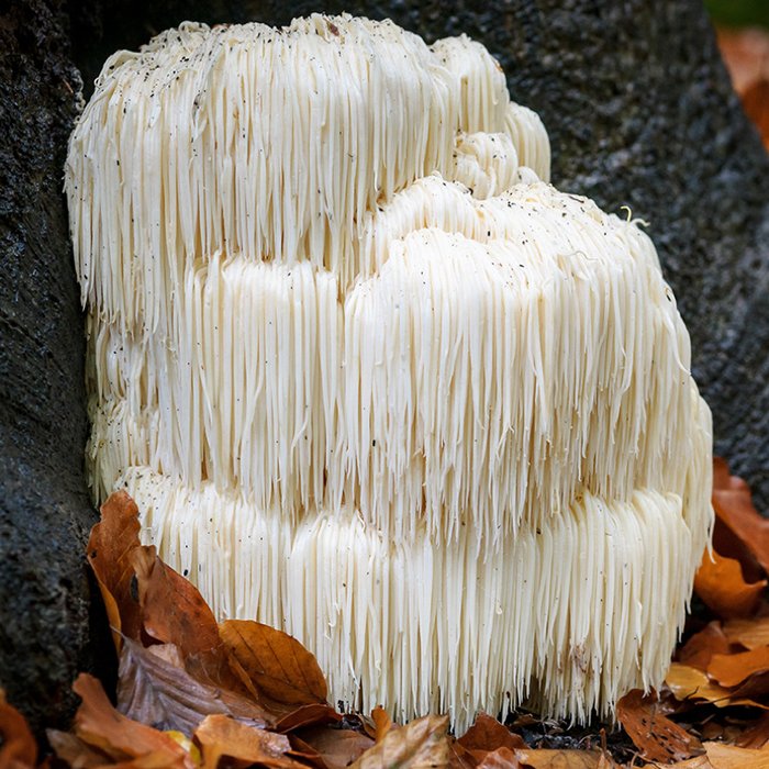 Thumbnail of www-x-com-mchale-in-flow-status-1936408801982517397-8c167d0845f14345