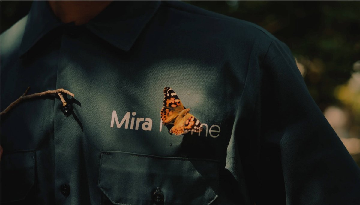 Thumbnail of www-x-com-thisisgrey-status-1957351548235010216-8c5c29f91651405f