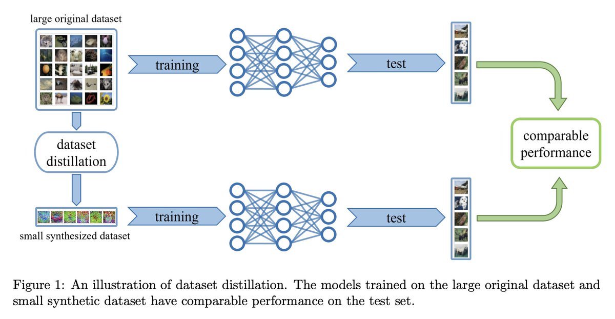 Thumbnail of www-x-com-fly51fly-status-1614837920707350528-8daf9d63f8aa445a
