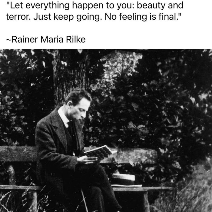 Thumbnail of www-x-com-lovandfear-status-1854882814858350976-8db7d7806f794262