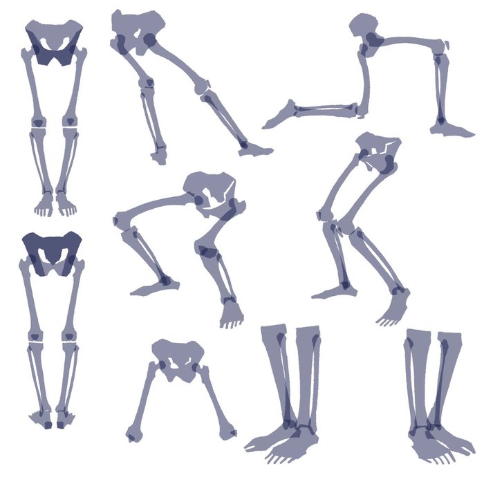 Thumbnail of www-x-com-kato-anatomy-status-1621860786418376704-8dd521fa39704294