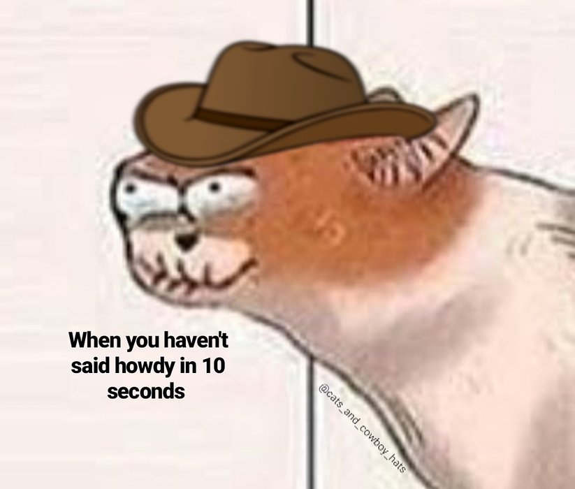 Thumbnail of www-x-com-cowboycats-status-1571969775730917377-901e57348b0f4784