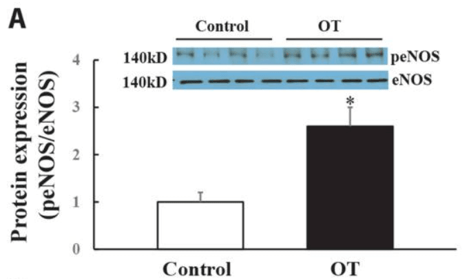 Thumbnail of www-x-com-hansamato-status-1955305892074701044-913534f3d7e540f9