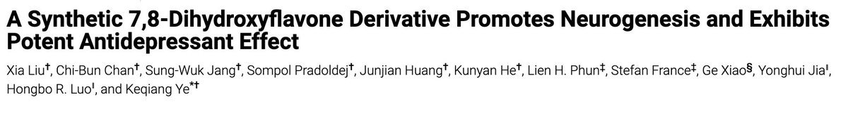 Thumbnail of www-x-com-bowtiedum-status-1712228766955577582-93f934a430b5439f