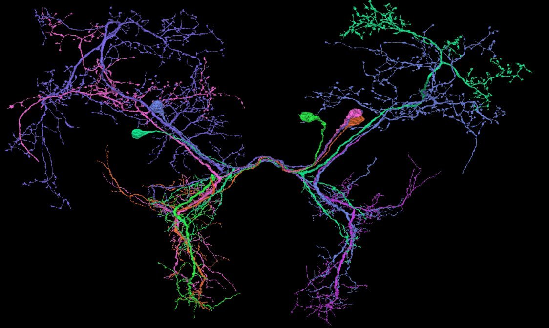 Thumbnail of www-x-com-chinasaurli-status-1273314659504812032-950f523206824b29