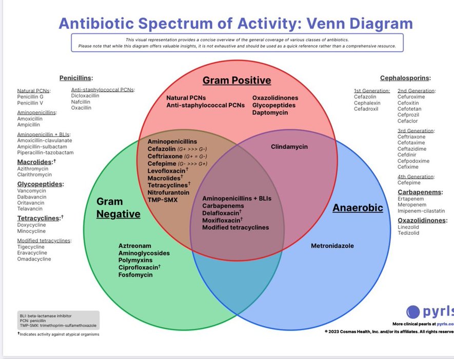 Thumbnail of www-x-com-drakhilx-status-1841849067208626237-956e5a1d9eee4670