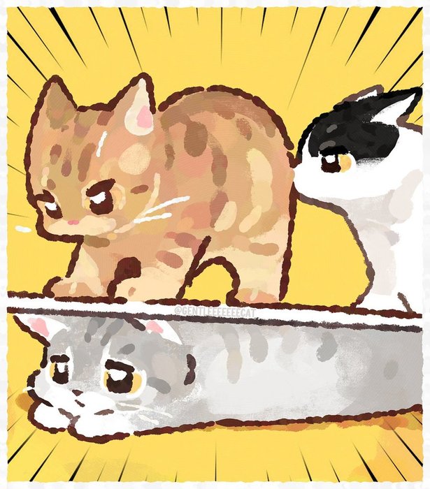 Thumbnail of www-x-com-aurawithcat-status-1955489439637242202-9593517a98f74e28