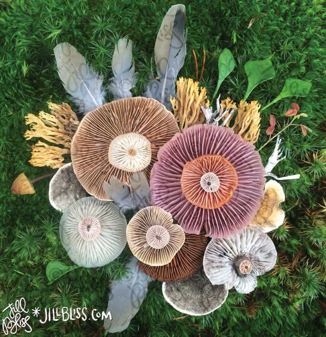 Thumbnail of www-x-com-fentyfairies-status-1337184409968111617-962bce73d5504212