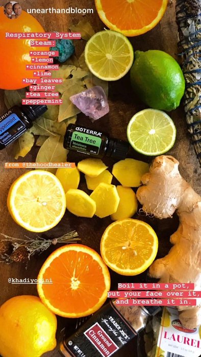 Thumbnail of www-x-com-wolfsadee-status-1244832911209136129-96841739749e4ef0