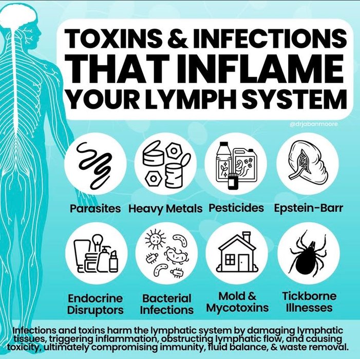 Thumbnail of www-x-com-bioavailablend-status-1876339148925141309-97b8a08d175443ef