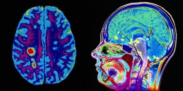 Thumbnail of www-x-com-iamprohuman-status-1836413711088775662-9933e6641c0f465d