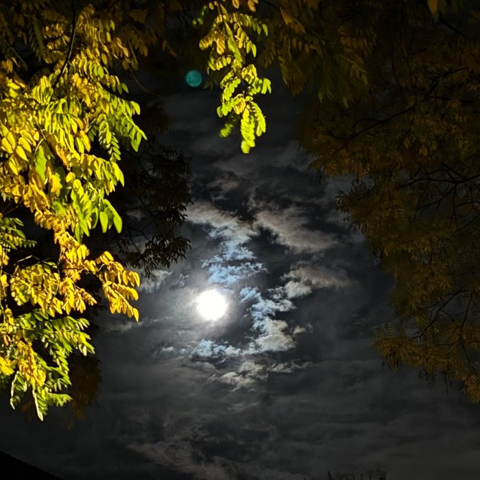 Thumbnail of www-x-com-laurent-daudet-status-1729208951173181721-994111b00745414b