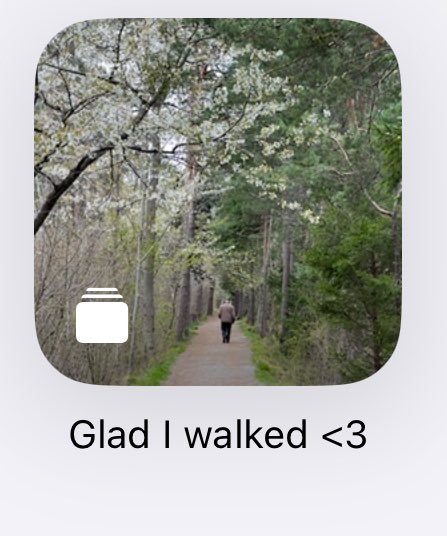 Thumbnail of www-x-com-fvbeila-status-1866870750545842589-996fb507e18141a9