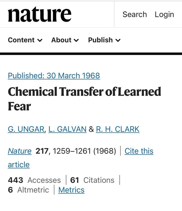 Thumbnail of www-x-com-aestheticprimal-status-1858130320928690426-9a010be161664f7a