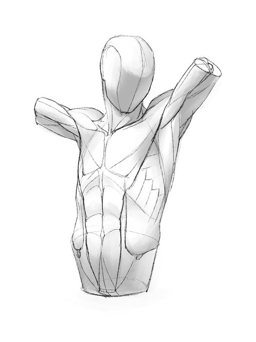 Thumbnail of www-x-com-kato-anatomy-status-1458741021844541443-9c71c2f4cd90470d