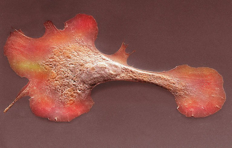 Thumbnail of www-x-com-iterintellectus-status-1884730202887958746-9d973ec640304e05