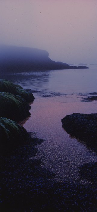 Thumbnail of www-x-com-vukandric-status-1835405998464610583-9db857b7a6934d31