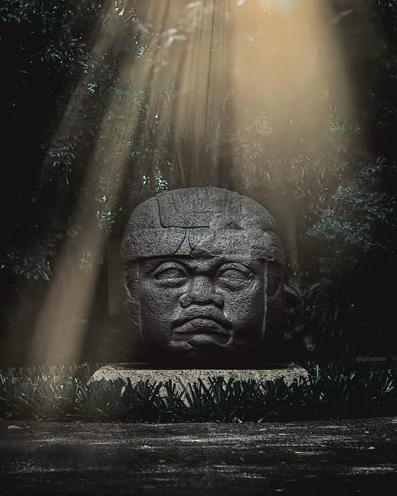 Thumbnail of www-x-com-lycaones-status-1484707469934964741-9dde0ddf05e64cc7