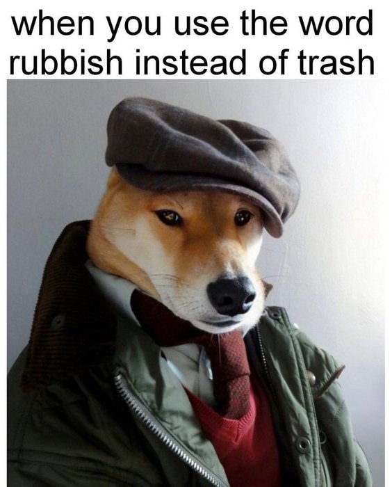 Thumbnail of www-x-com-dogeofficialceo-status-1667264621898616856-9f482798a3954617