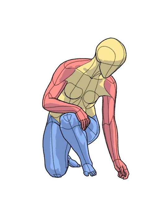 Thumbnail of www-x-com-kato-anatomy-status-1616978804370735104-a02aa286df8a427b