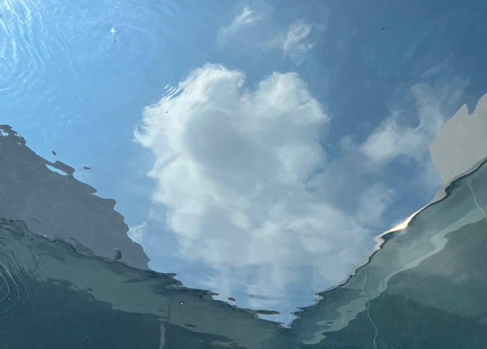 Thumbnail of www-x-com-0mochi-maru08-status-1914245348400546229-a1b3ce6b2aad4f35