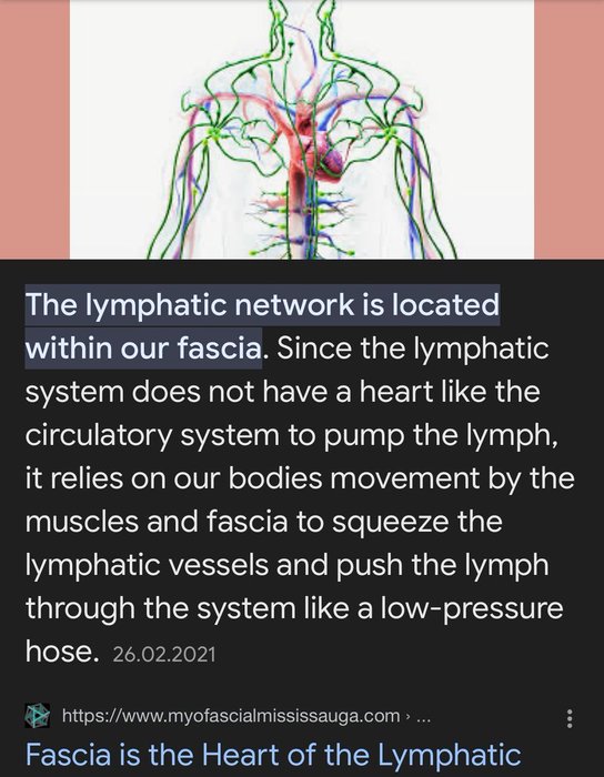 Thumbnail of www-x-com-sungazing11-status-1789199831472218416-a1fa627035e14296