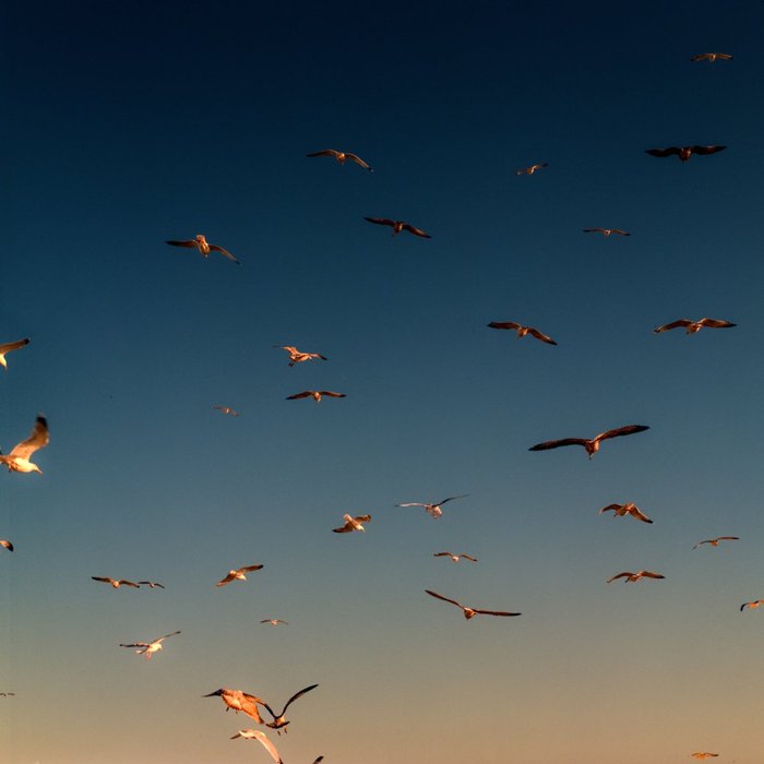 Thumbnail of www-x-com-ihoworth-status-1505918426283450373-a312b515c26c4b34