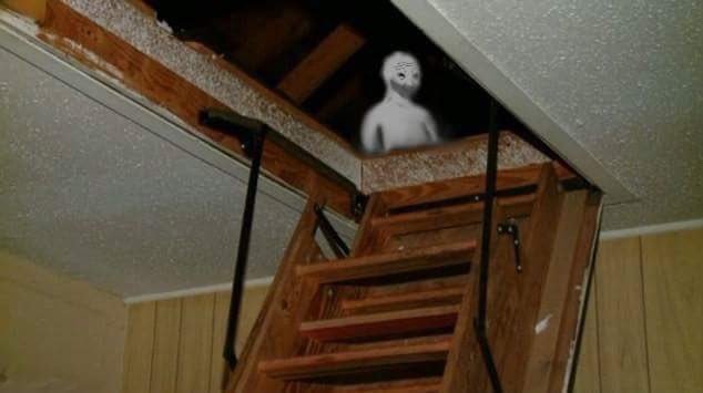 Thumbnail of www-x-com-wallstmemes-status-1437091967263985667-a3e6bffdc5254e35