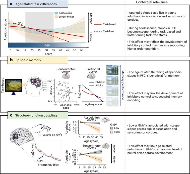 Thumbnail of www-x-com-drdominicng-status-1958483227594907716-a4746be0e8dc4492