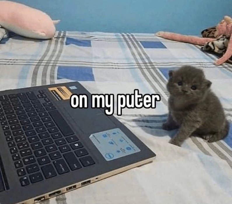 Thumbnail of www-x-com-postsofcats-status-1726951603884687423-a5f35e8d50b743e4